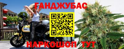 шишки Лесосибирск
