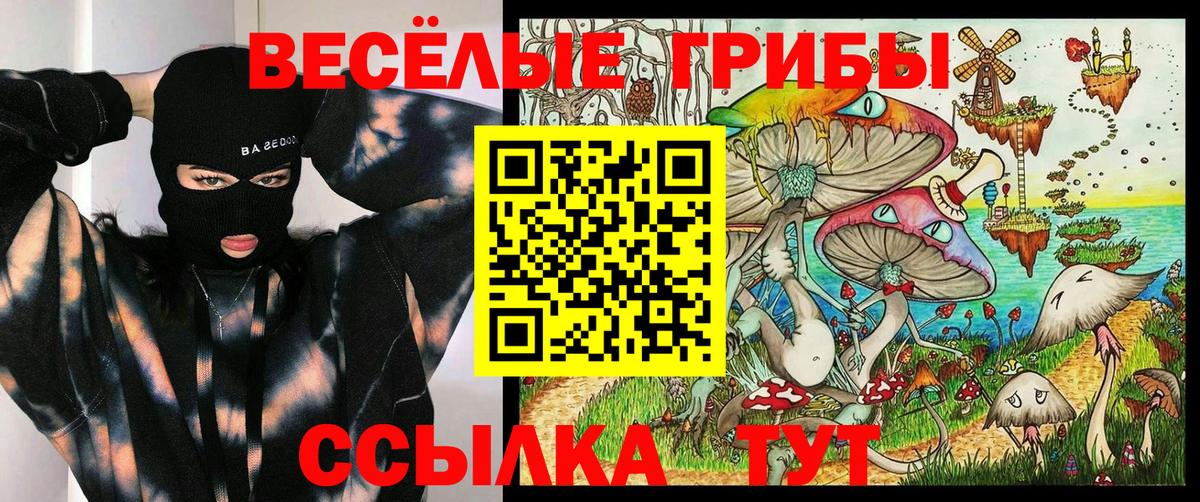 Будённовск  Псилоцибиновые грибы Cubensis  Вход с VPN 